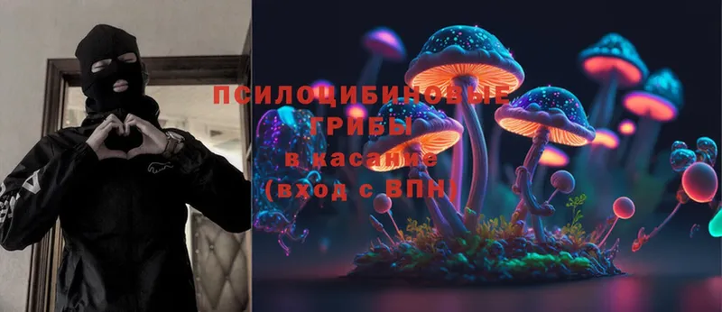 МЕГА ONION  наркотики  Электроугли  Псилоцибиновые грибы Magic Shrooms 